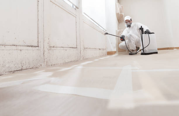 24/7 Emergency Black Mold Remediation experts in Jacksonville, FL